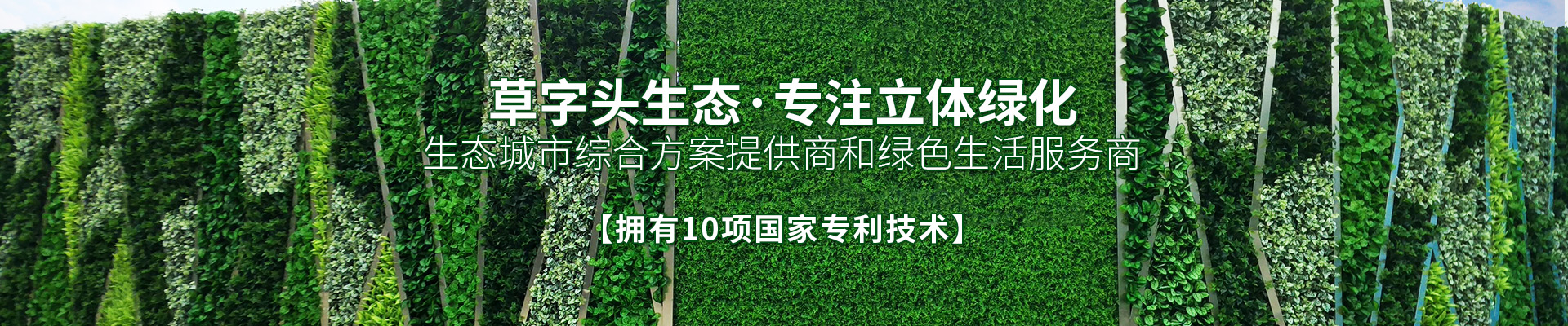 湖南草字頭生態(tài)環(huán)境建設有限公司|專注于生態(tài)修復和綠化環(huán)保事業(yè)