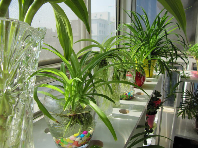 湖南草字頭生態(tài)環(huán)境建設有限公司,人造草坪假草皮,湖南雨水收集處理工藝